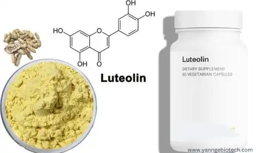The Science Behind Luteolin and Its Health Benefits